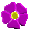 fleur 3